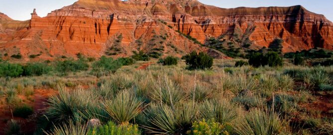 The Jolly Outlaw State Parks Section - Palo Duro