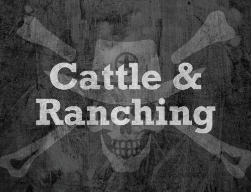 Cattle Ranching in Texas: History and Legacy