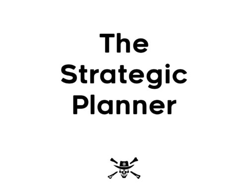 The Strategic Planner: Focused Solutions Provider