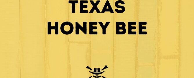 Jolly Outlaw Texas Honey Bee