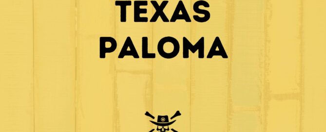 Jolly Outlaw Texas Paloma