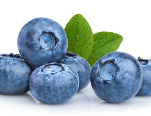 Blueberry Benefits, Side Effects, and How to Eat Them Daily