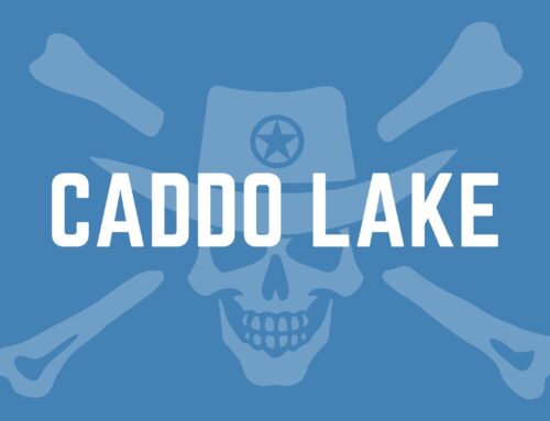 Caddo Lake Texas | Kayaking, Camping & Travel Guide