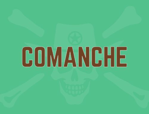 Comanche Tribe in Texas: History and Legacy