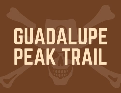 Guadalupe Peak Trail: Hike Texas’ Highest Point