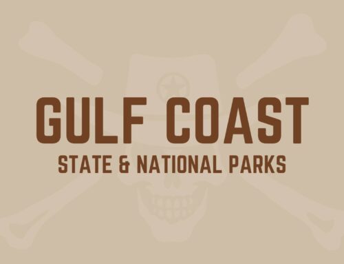 Explore Gulf Coast Parks: Beaches, Wildlife, and History