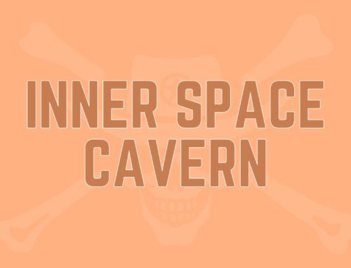 Inner Space Cavern: Explore Texas’ Hidden Underground Treasure