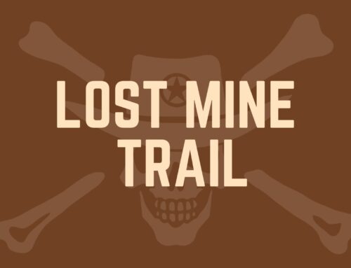 Lost Mine Trail: Big Bend’s Scenic Adventure