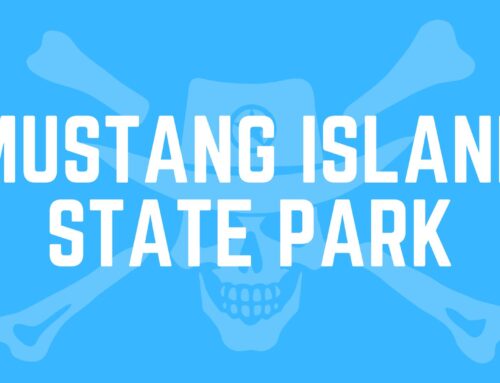 Mustang Island State Park: Explore Texas’ Gulf Coast