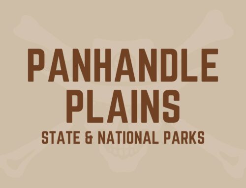 Panhandle Plains Parks: Rugged Beauty Awaits You