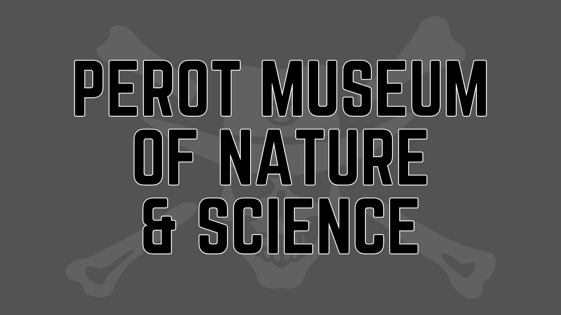 Jolly Outlaw Perot Museum of Nature & Science 001