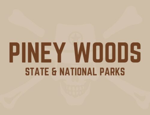 Piney Woods Parks: Forest Trails and Serene Lakes