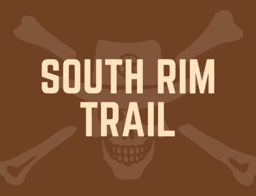 South Rim Trail: Big Bend’s Stunning Hiking Experience