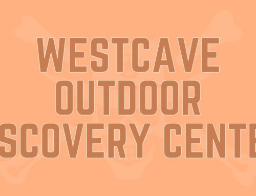 Westcave Outdoor Discovery Center: Explore Texas’ Hidden Grotto