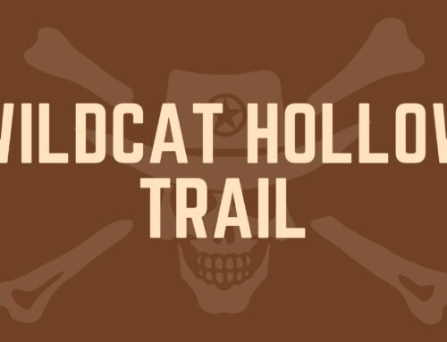 Wildcat Hollow Trail: Explore Davy Crockett’s Hidden Gem