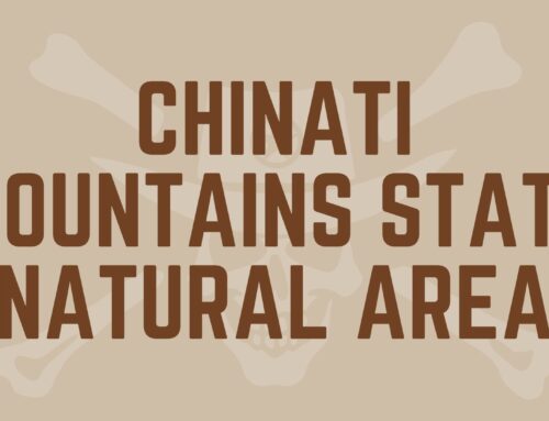 Chinati Mountains State Natural Area