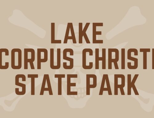 Lake Corpus Christi State Park