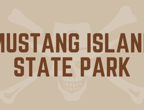 Mustang Island State Park