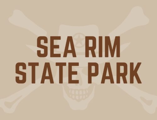 Sea Rim State Park